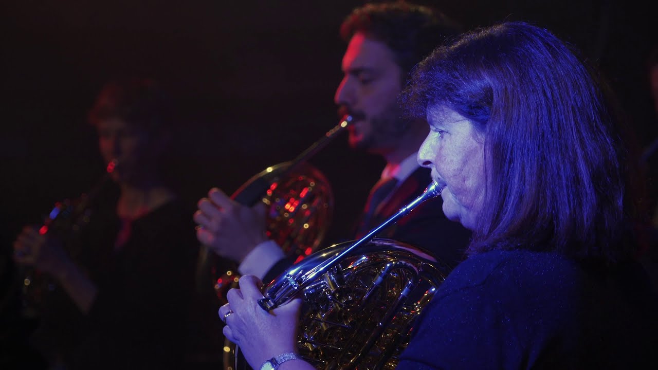 21st Century Orchestra: Hogwarts Hymn