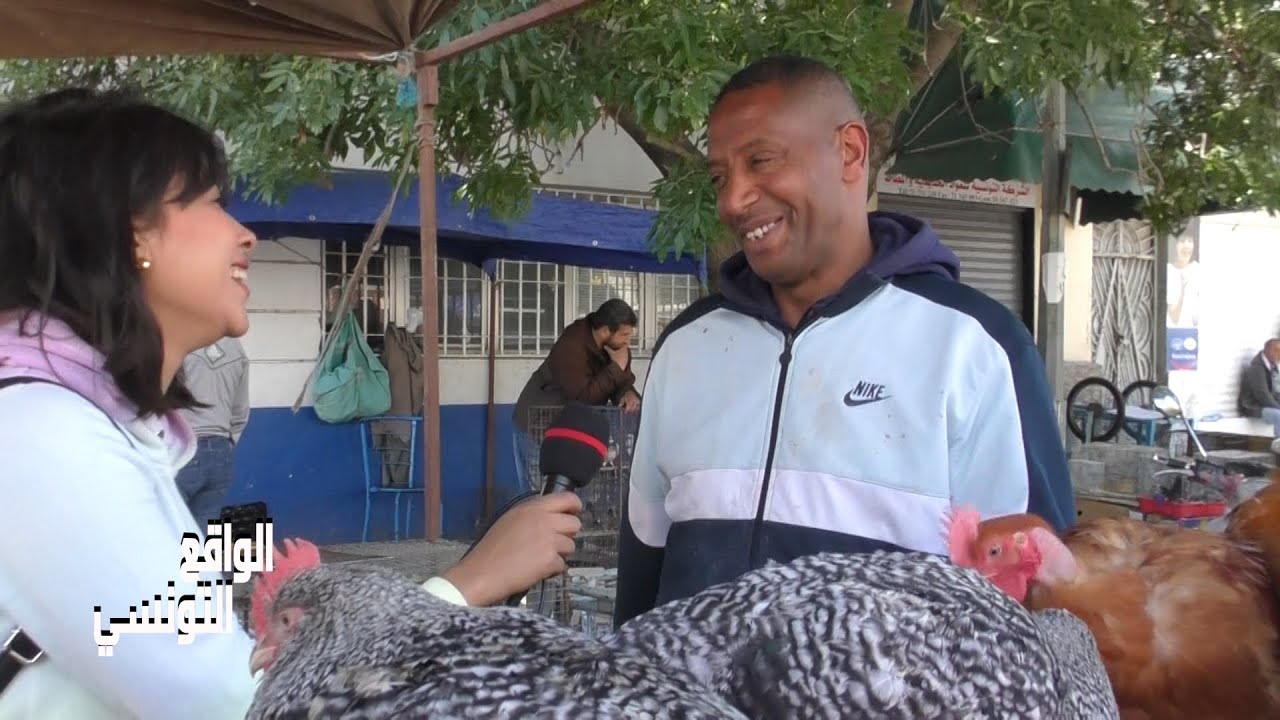 🐓🦃سوق المنصف باي..اسوام الدجاج العربي اكثر من 150د