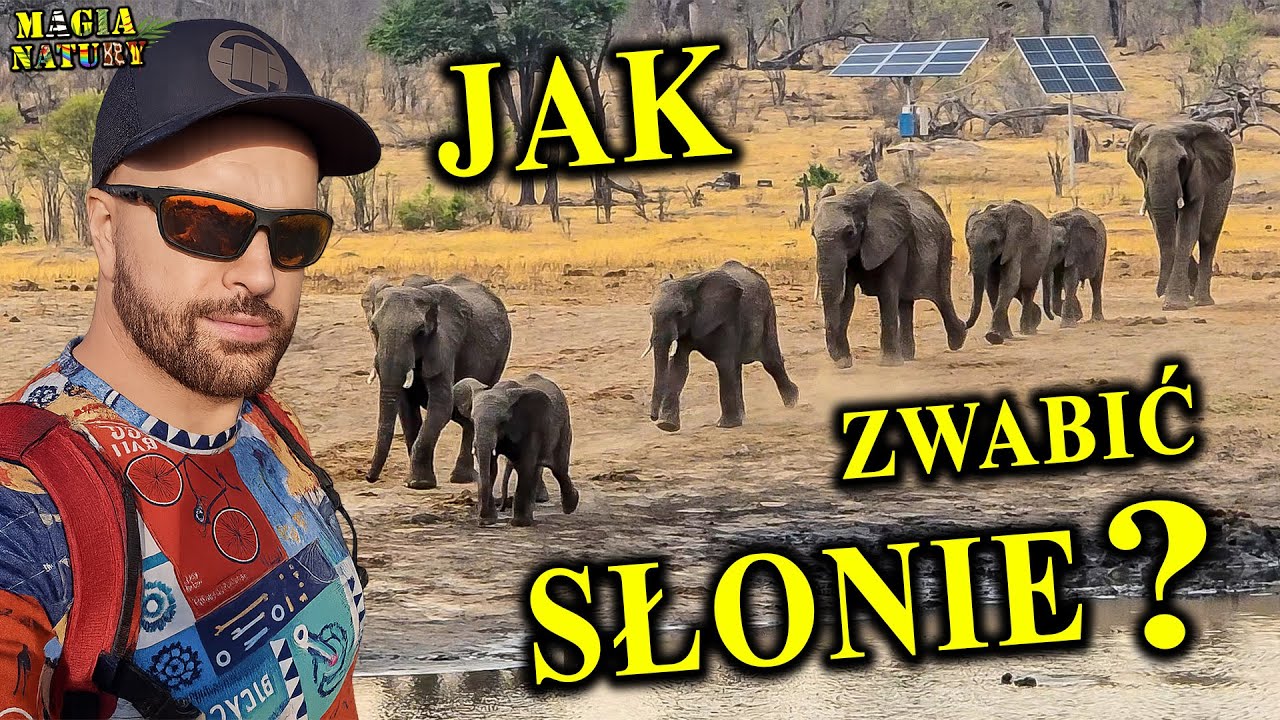 Zwierzęta na Wyciągnięcie Ręki! - Zimbabwe, Botswana - Cud Natury