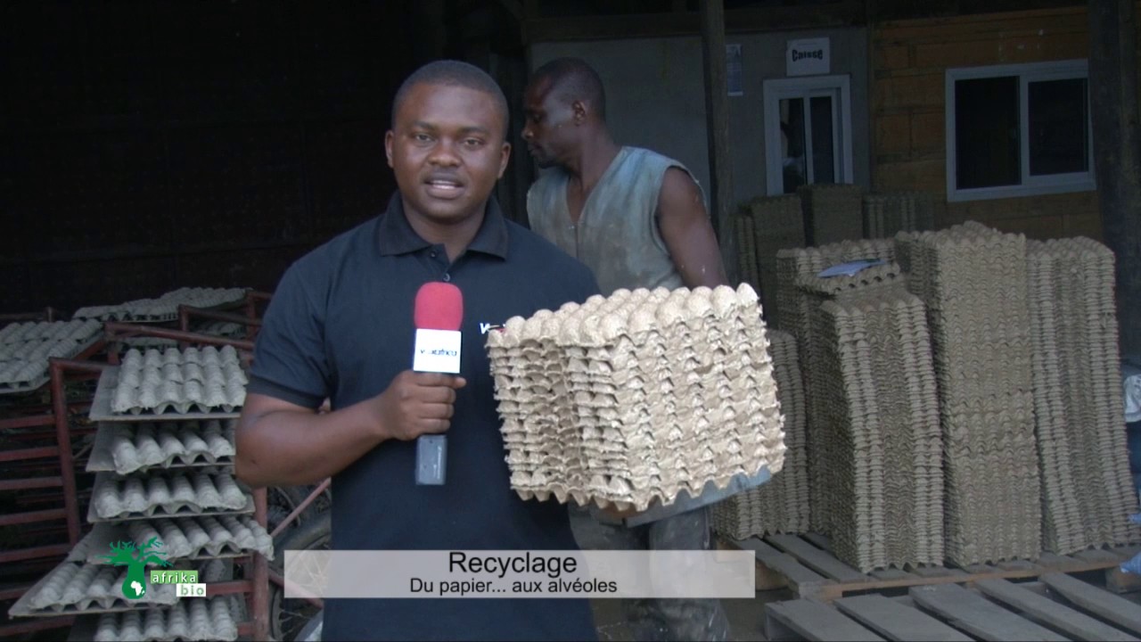 Recyclage: Du papier...aux alvéoles