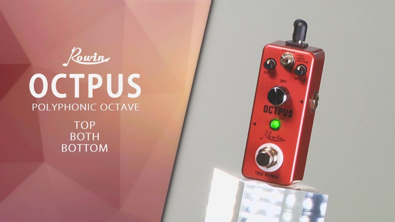 ROWIN / ギターエフェクター OCTPUS