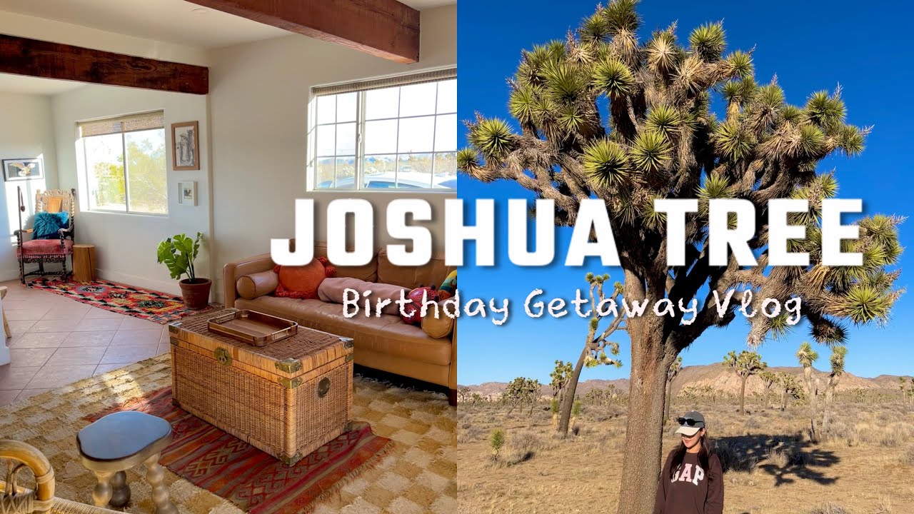 조슈아트리에서 보낸 생일🏜️, joshua tree 1박2일, 사막 한가운데 에어비앤비🐿️, 히든밸리 하이킹, skull rock💀