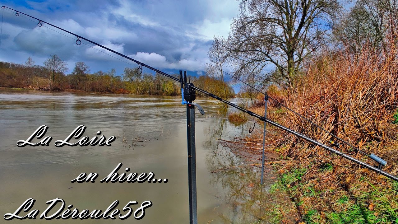 Pêche de la carpe en Loire // Saison hivernale.