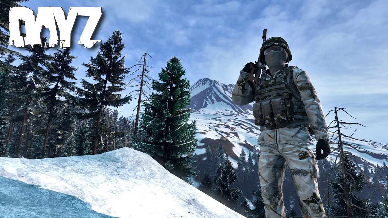 DayZ PvP Moments #2