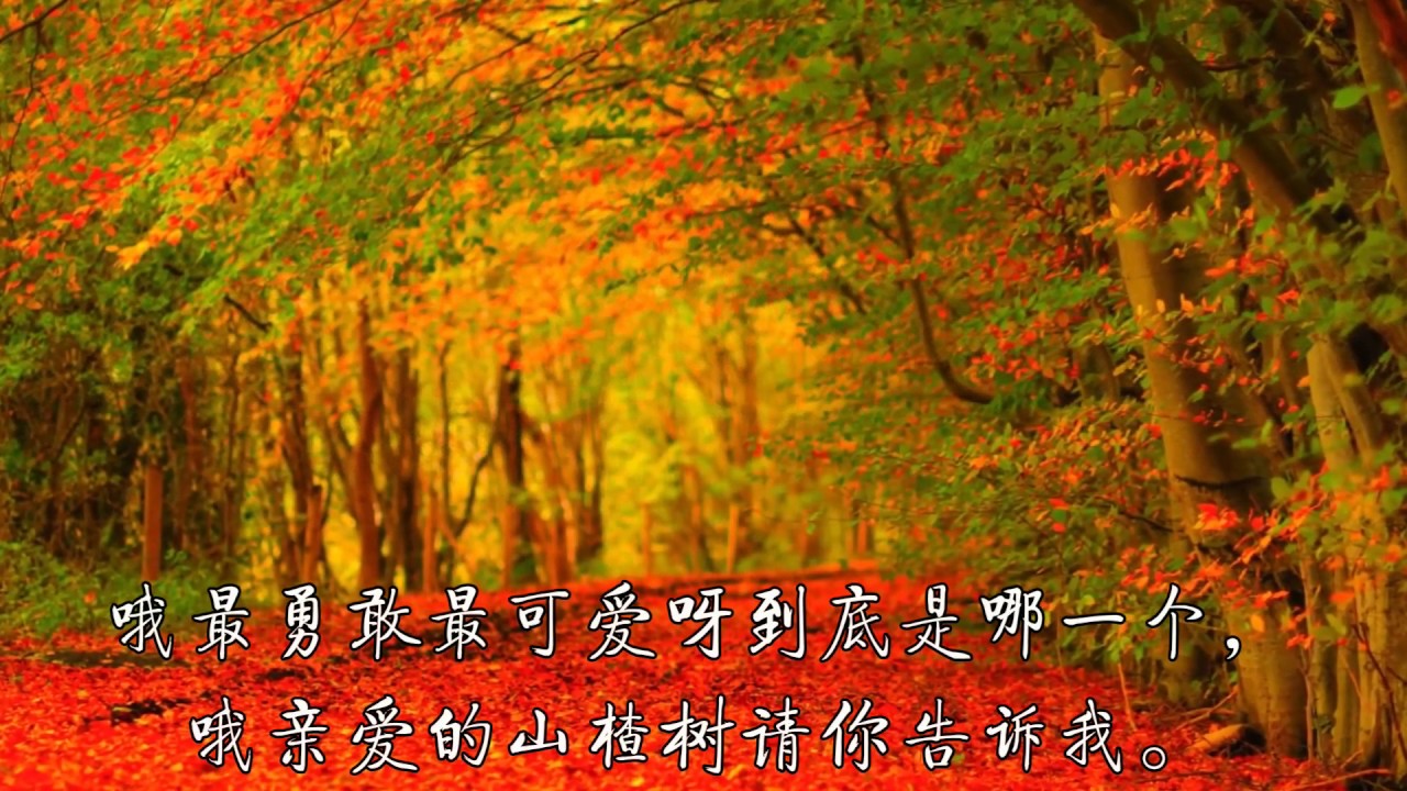 《山楂树》伴奏
