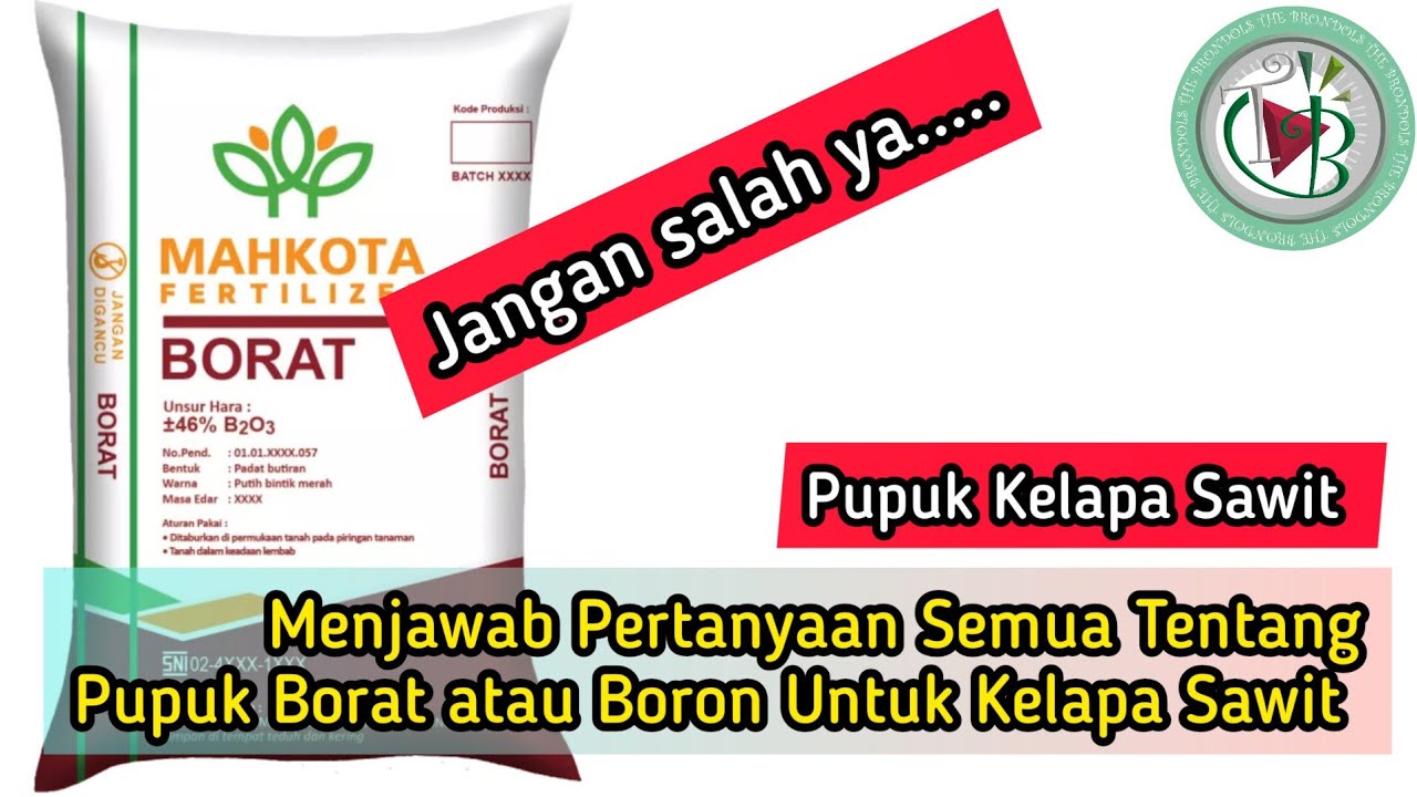 Menjawab Pertanyaan Semua Tentang Pupuk Borat atau Boron Untuk Kelapa Sawit