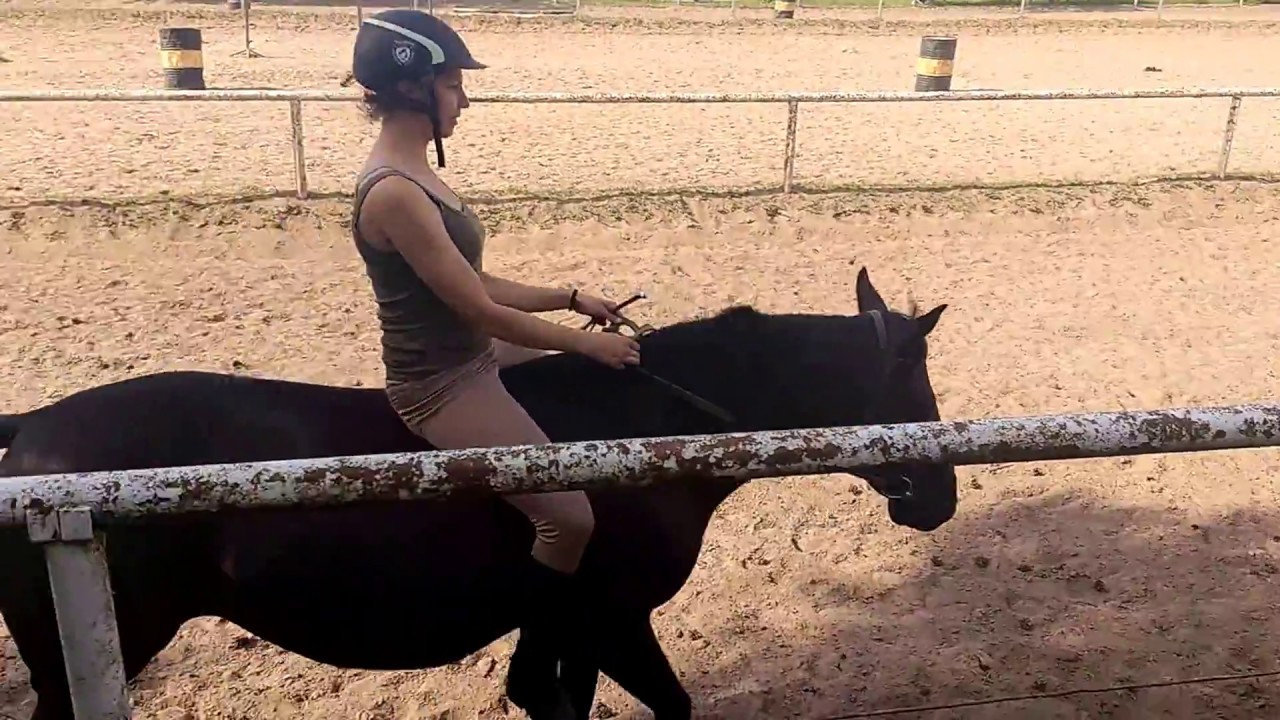 Galop na oklep - Maja - Patataj