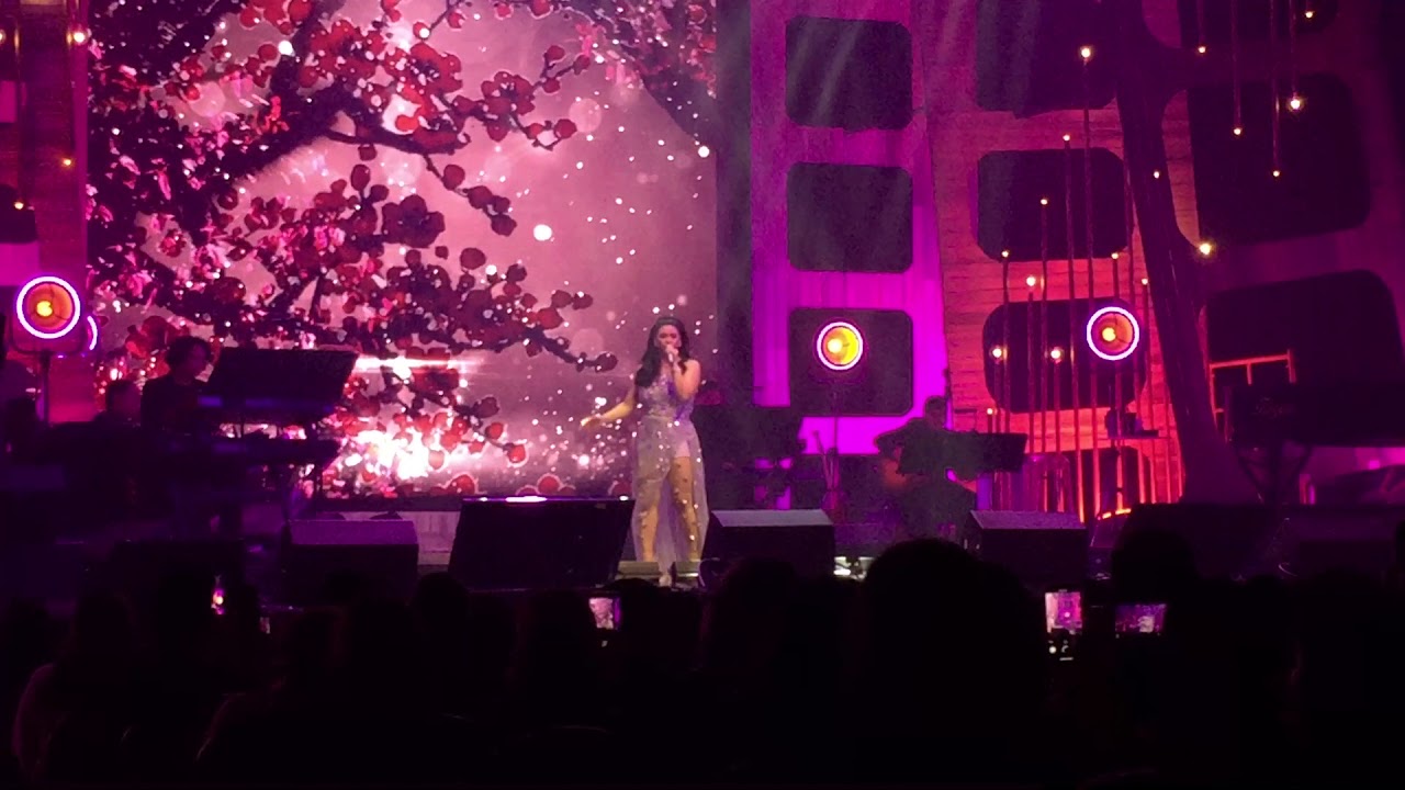 Reflection - Regine Velasquez - Regine At The Movies (Nov 25)