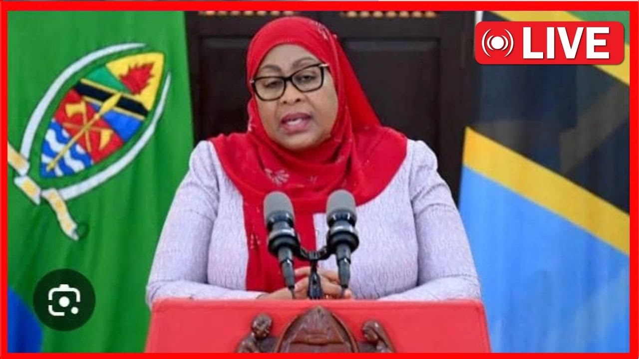 🔴#LIVE: RAIS DKT. SAMIA SULUHU HASSAN ANAZUNGUMZA NA WAANDISHI WA HABARI MUDA HUU..
