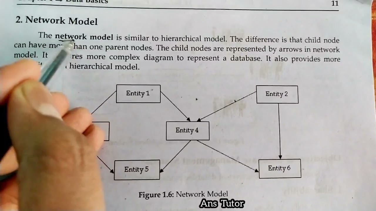Database Model and Types of Database Model , Hierarchical Model , Network Model , Relational Model
