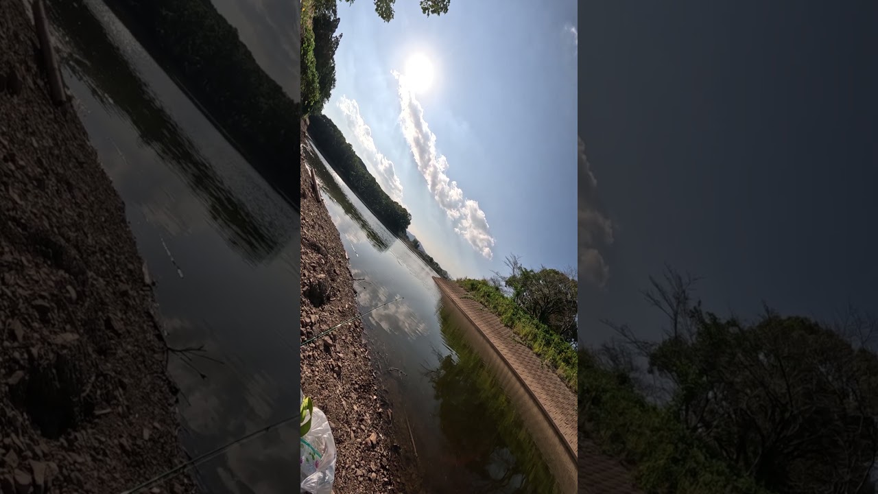 #359504 #magiqych #vlog #shorts