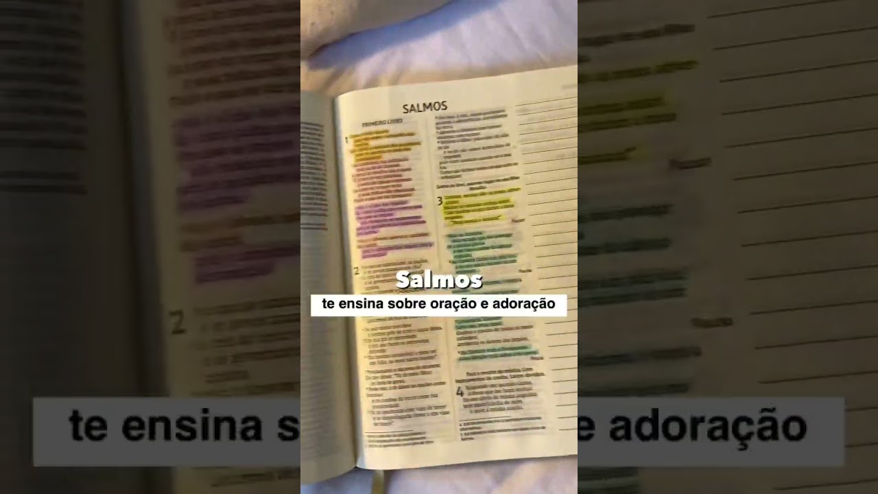 Por onde come&ccedil;ar a ler a B&iacute;blia? 4 op&ccedil;&otilde;es de livros pra voc&ecirc; come&ccedil;ar hoje a ler a B&iacute;blia ✨#shorts