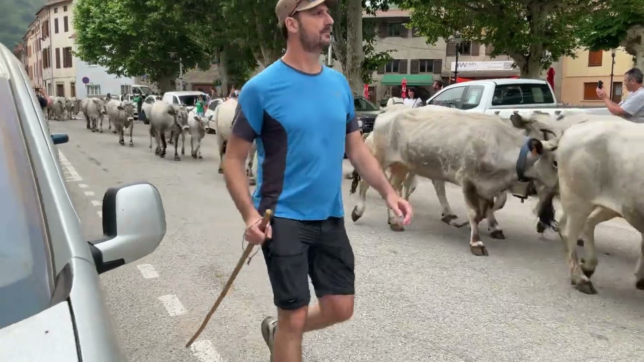 Transhumance Les Cabannes Ariège