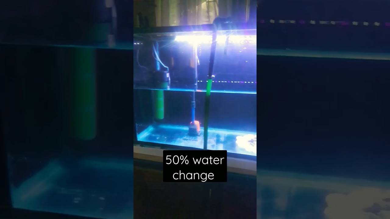 #waterchangeDay 6ft Tank #aquariumkeeper #Aadhifish