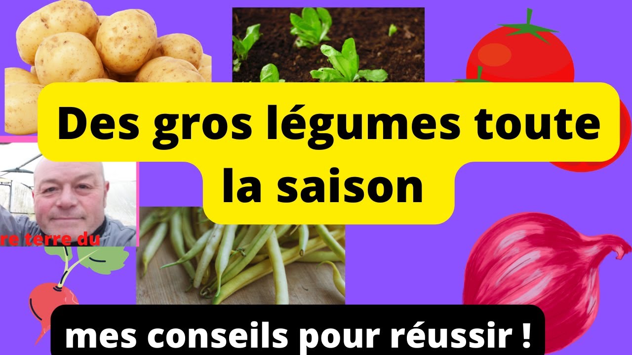 comment am&eacute;liorer le rendement de votre jardin ?