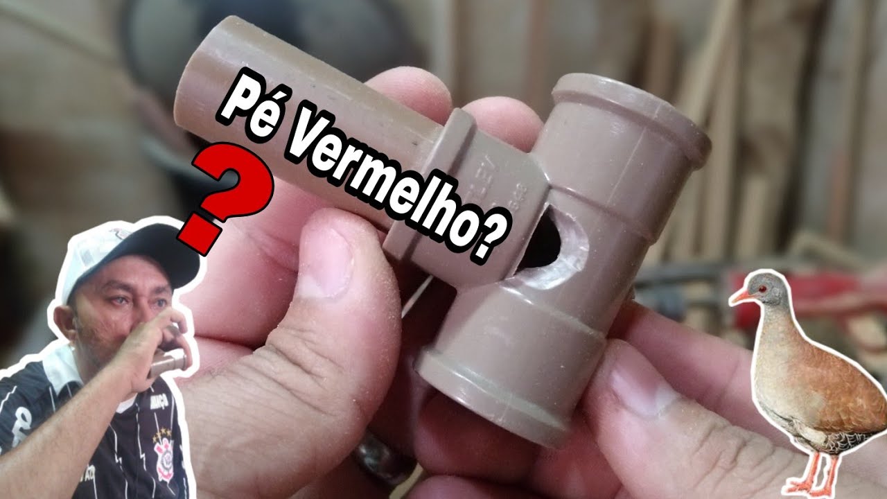 CHAMA PRA ATRAIR NAMBU PÉ VERMELHO! SERÁ QUE DEU CERTO?