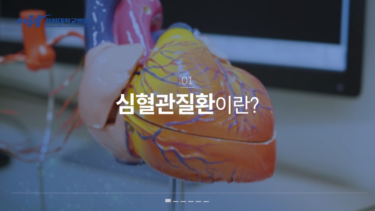 심혈관질환이란?｜심장내과 조병렬 교수｜강원대학교병원  심뇌혈관질환센터