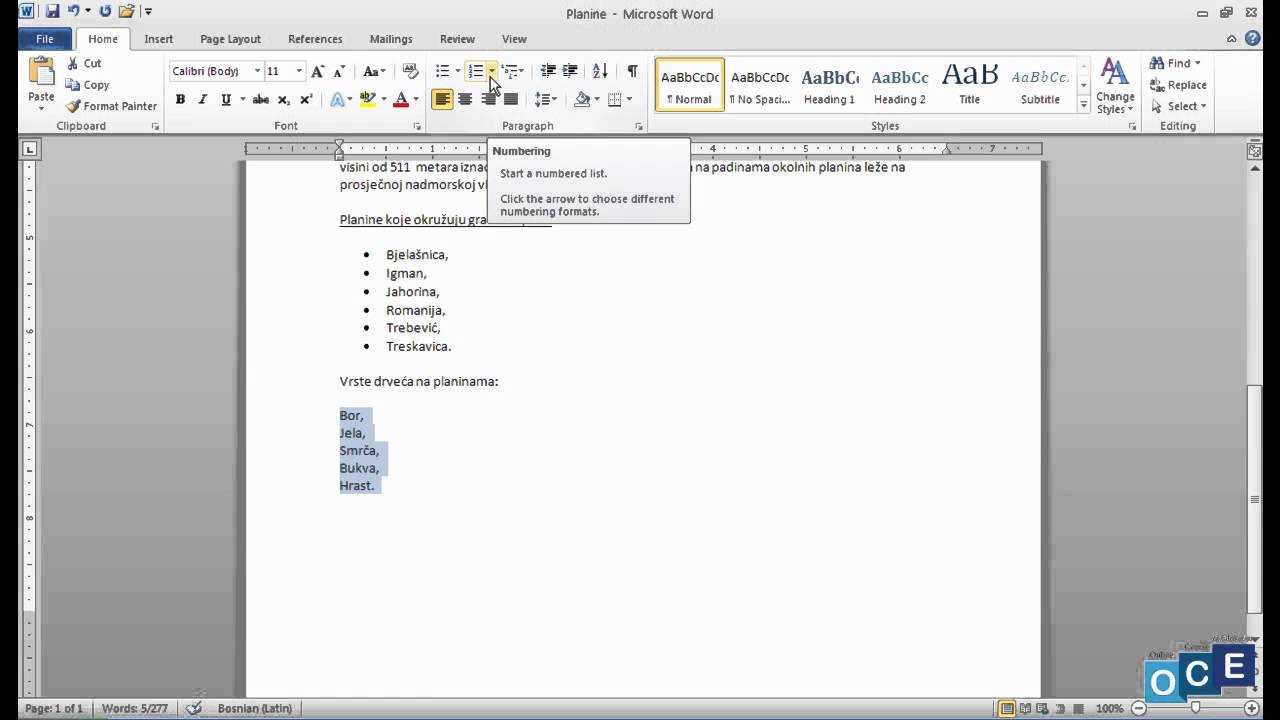 Word: Numerisanje liste
