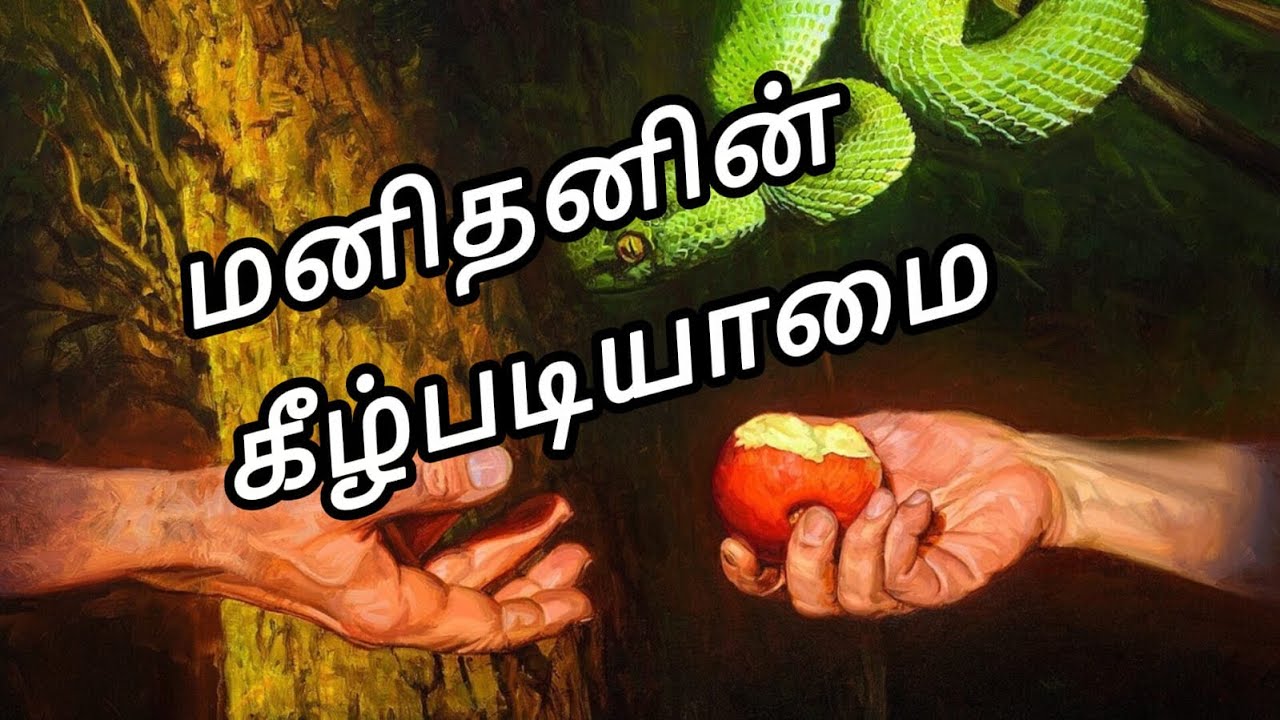 #தொடக்கநூல் 3:1-13 # Genesis 3:1-13 # Thodakkanool 3:1-13 # iraiyodusilanimidangal#