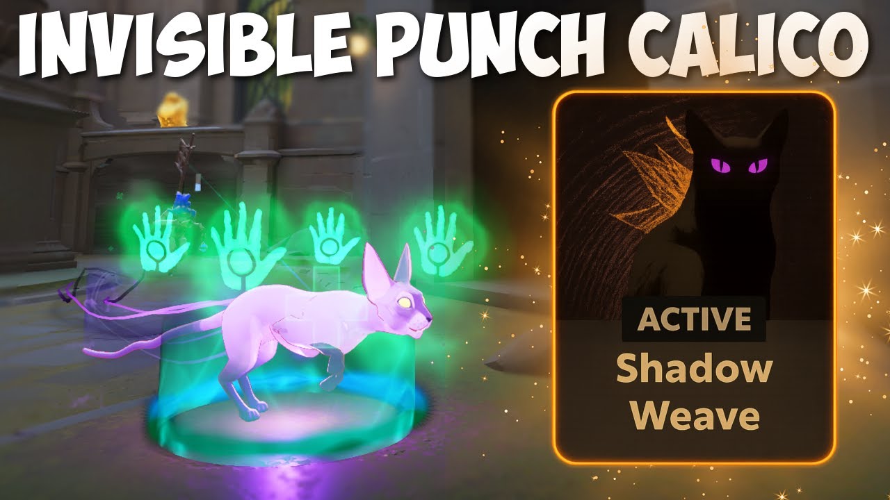 Stealthy Punchs With Calico...