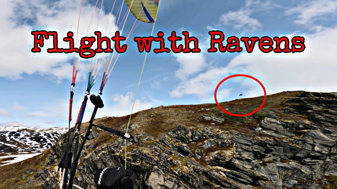 Solo Paragliding Flight on Store Skagastølstind 3. Highest mountain in Norway - Uncut