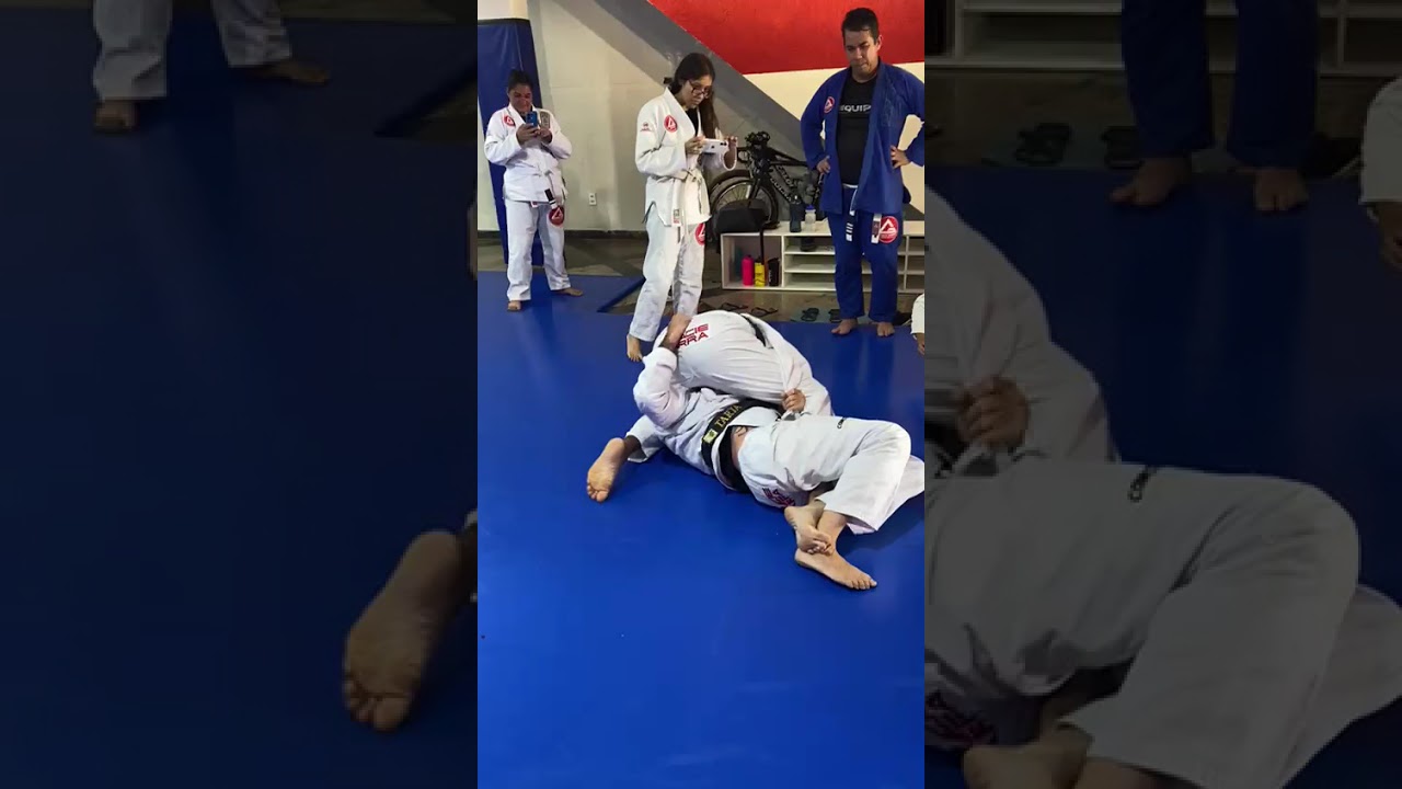 Essa é a melhor guarda do mundo