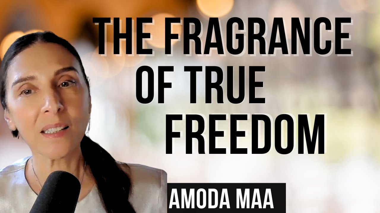 Awakening is Like a Bud on a Tree, True Liberation is the Blooming of the Flower | Amoda Maa