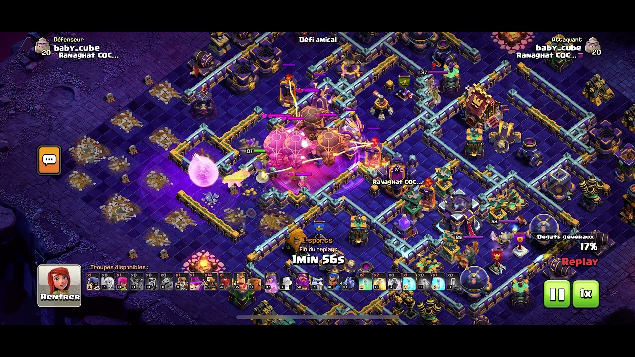 TH15 - AQH SUPER HOG (baby)