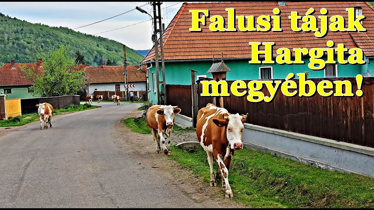 Ilyen igazi autentikus helyet, falusi légkört mint a Kászonok, már nem találunk máshol Székelyföldön