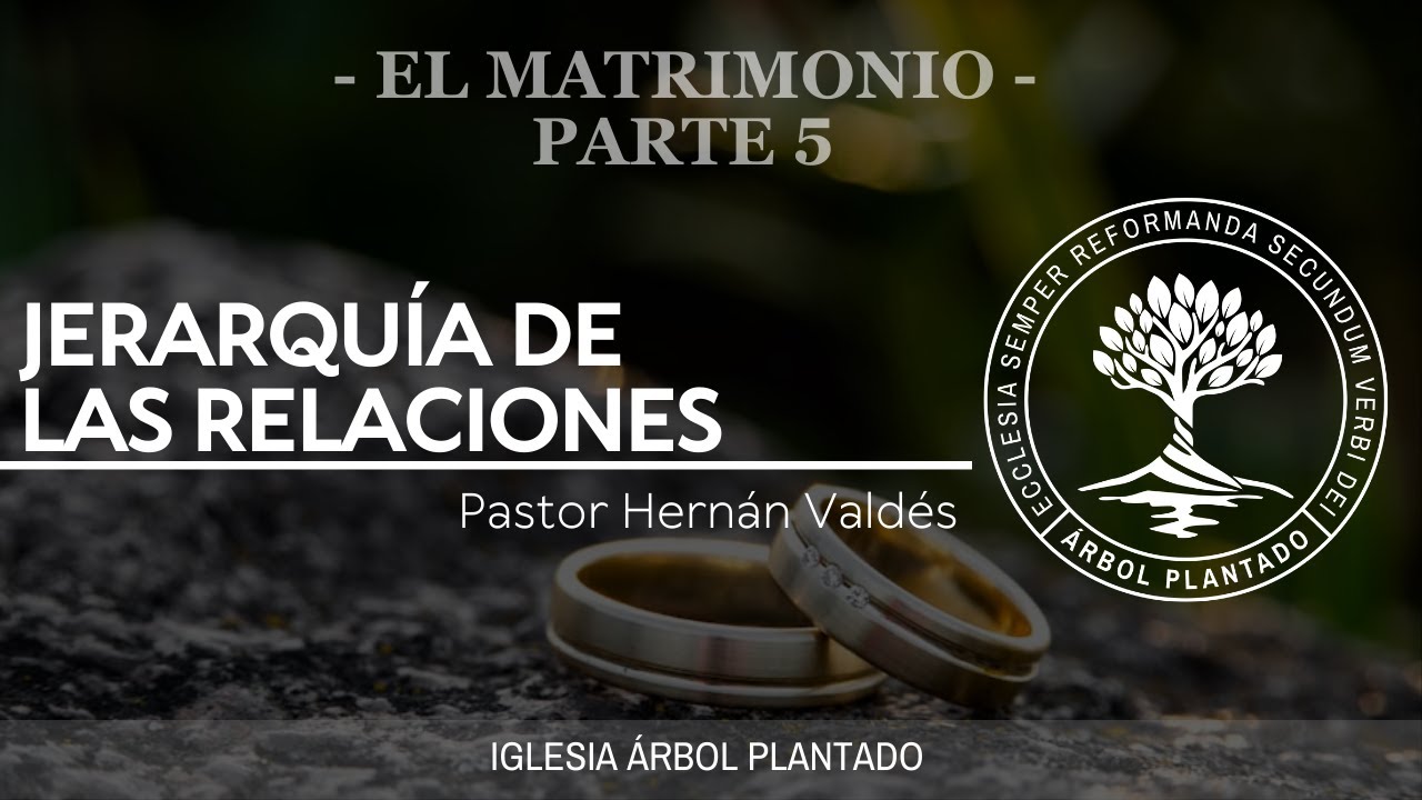 123 - El Matrimonio parte 5 - Jerarquía de las relaciones