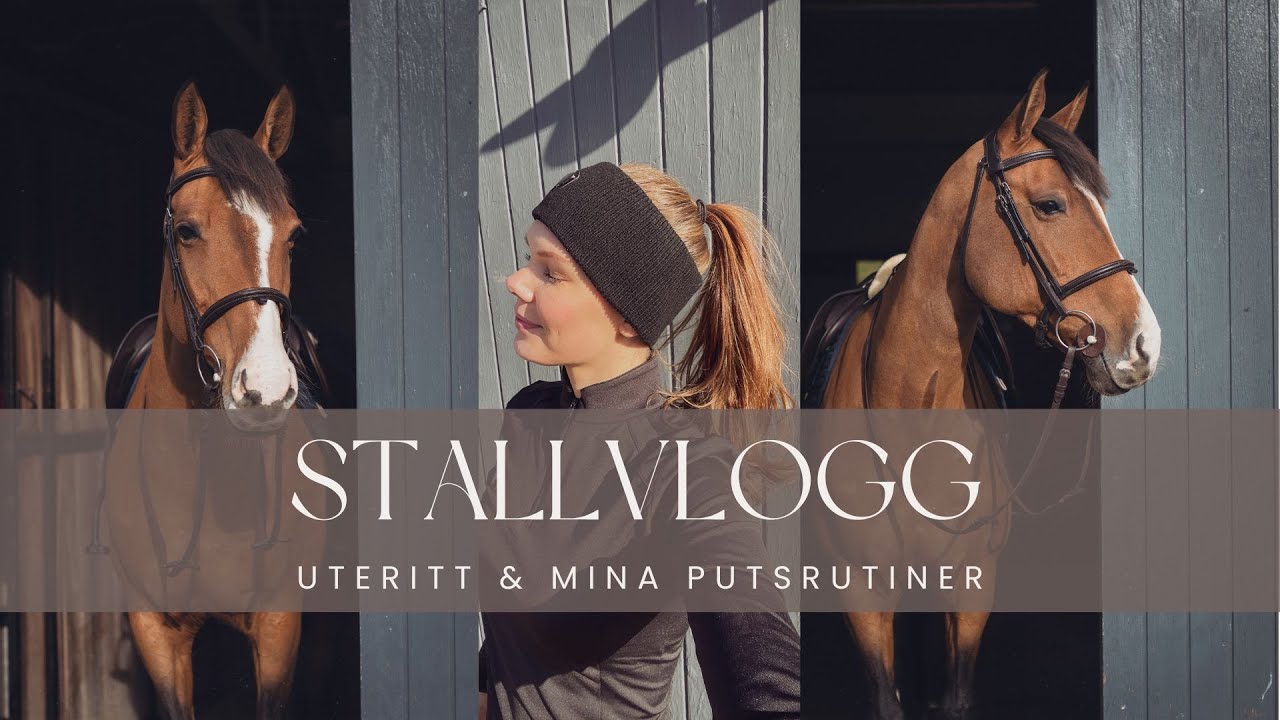 en höstig stallvlogg - uteritt och putsrutiner