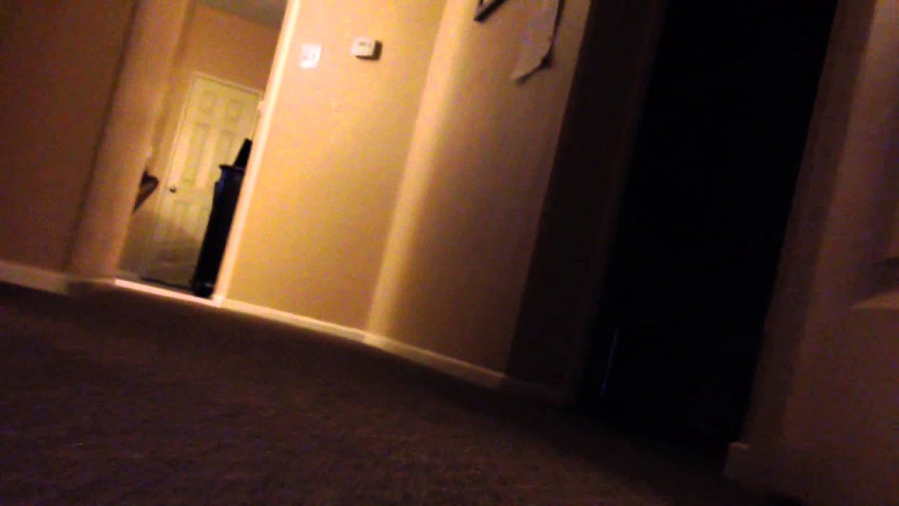 The World In The Eyes Of MiP 2: Just MiP-ing Around The House