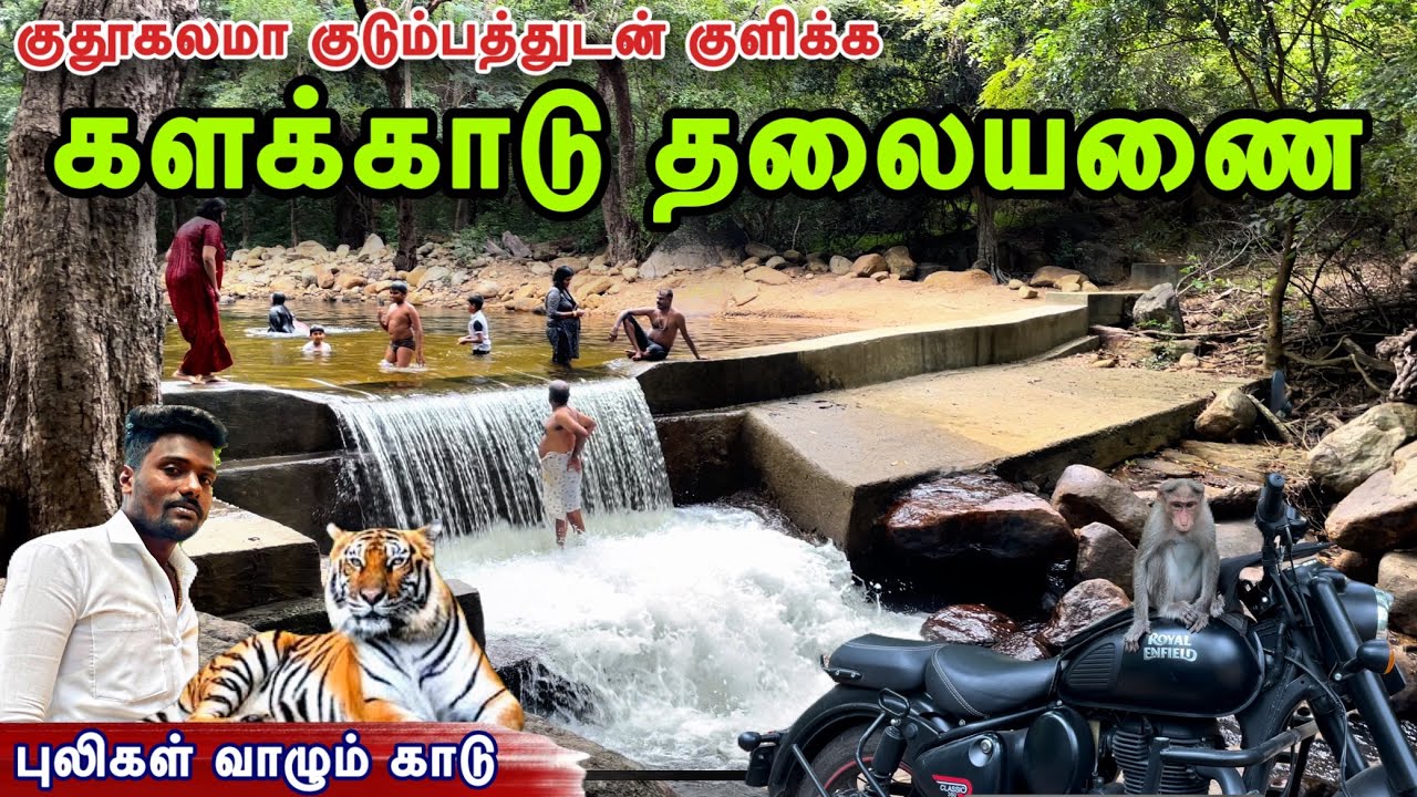 💫kalakad Thalayanai | களக்காடு தலையணை | Tirunelveli near by tourist places
