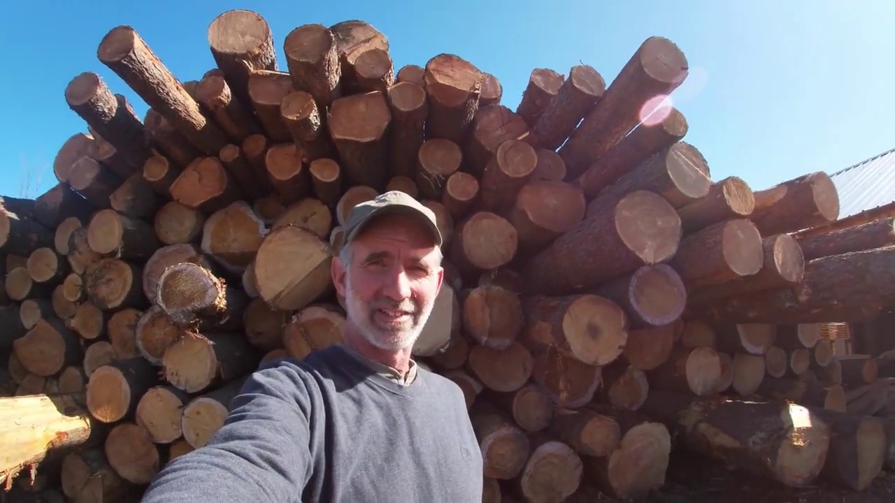 Amish Sawmill Needs More Tamarack Logs Part 2