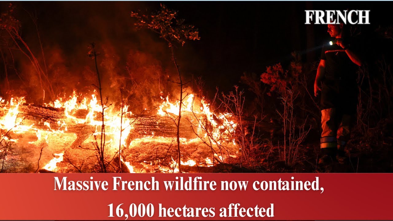 Massive French wildfire now contained, 16,000 hectares affected | India Abroad