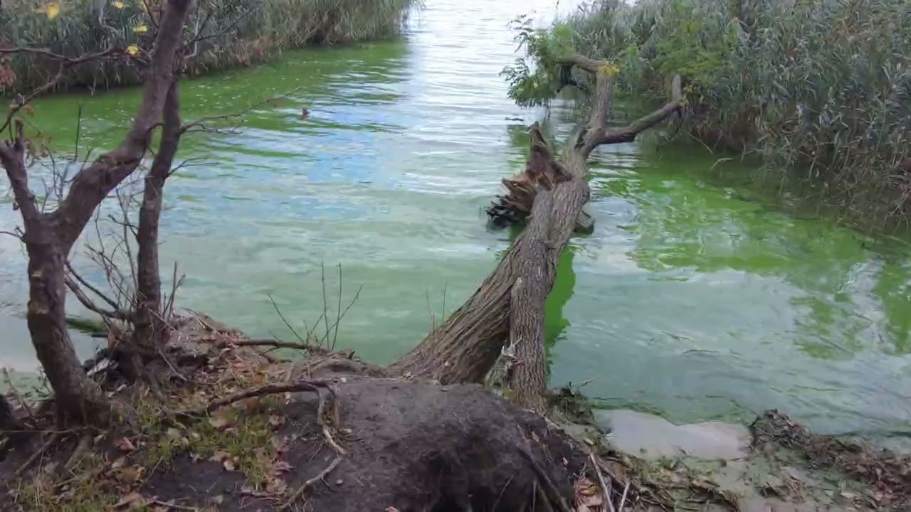 ПРЕМЄ*РА пісні 