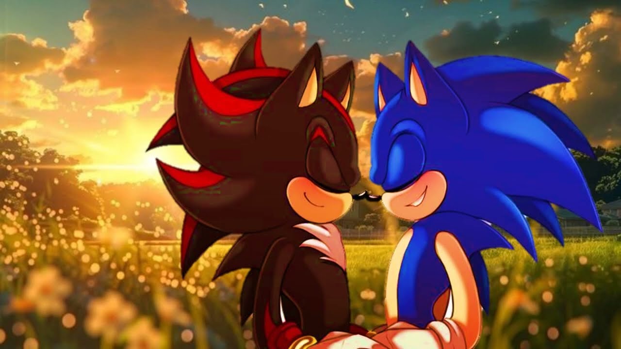 Un destino entrelazado (Sonadow) cap.13