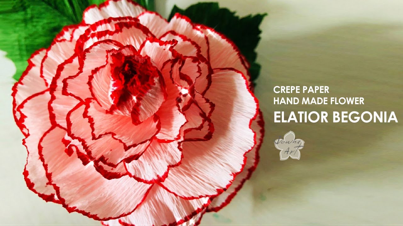 Paper Flower 🌸 / Elatior Begonia / How to make Crepe paper flower Begonia.