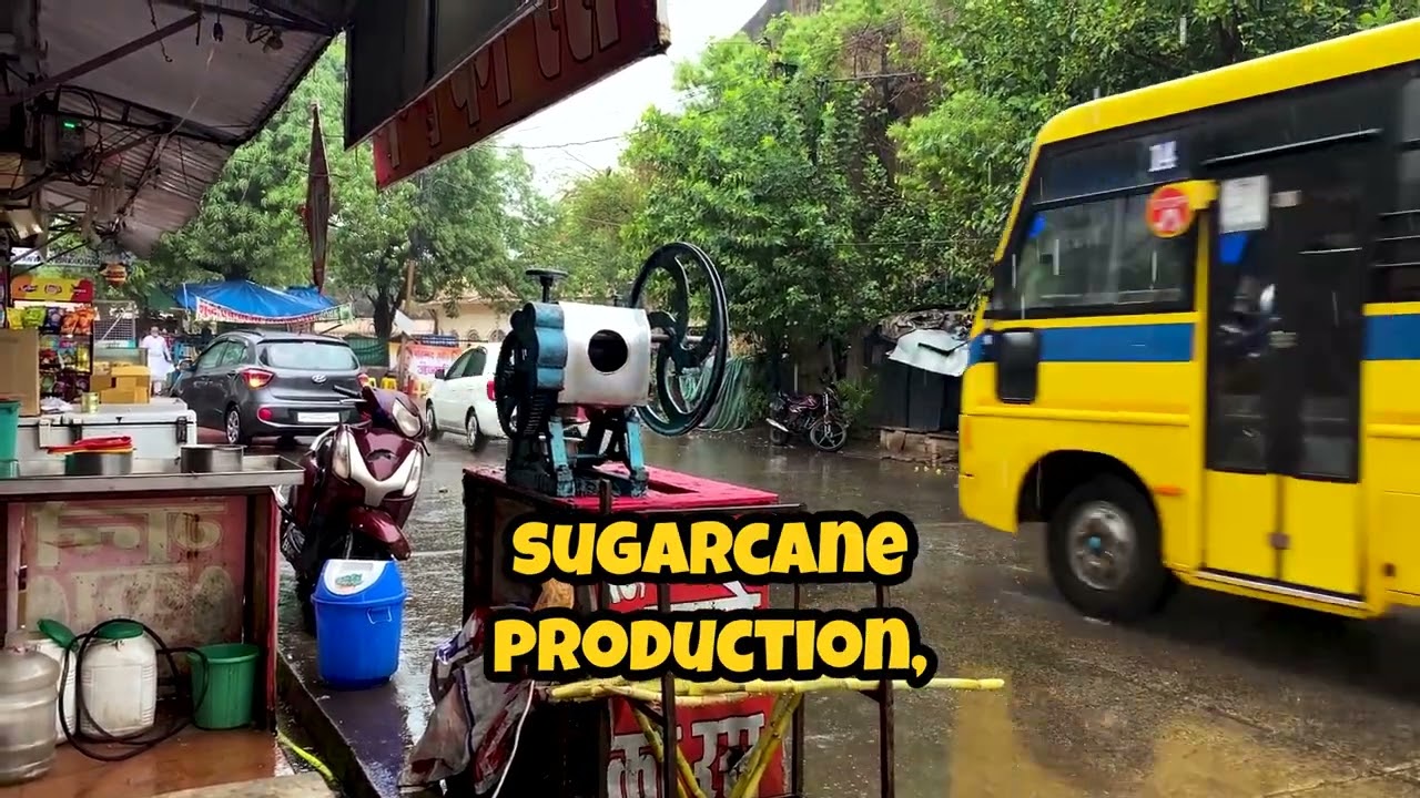 🌱 Best Sugar Stocks in India 2025 | Strategic Guide for Investors