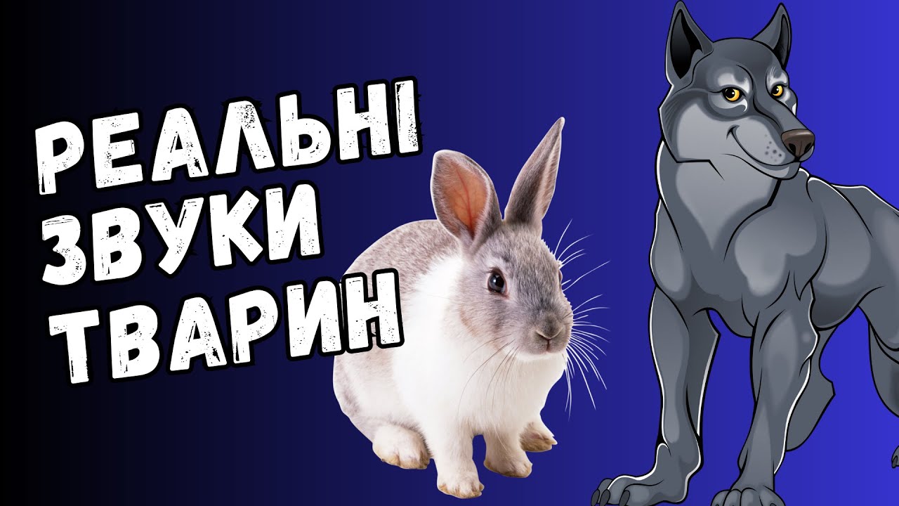 Так звучать українська фауна. РЕАЛЬНІ ЗВУКИ ТВАРИН України для дітей