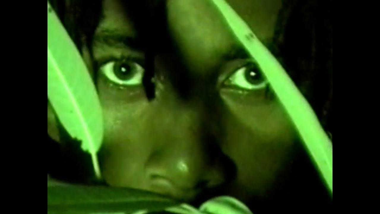 Ty. Dakota - No Limit (VHS COLLECTION TAPE 5)