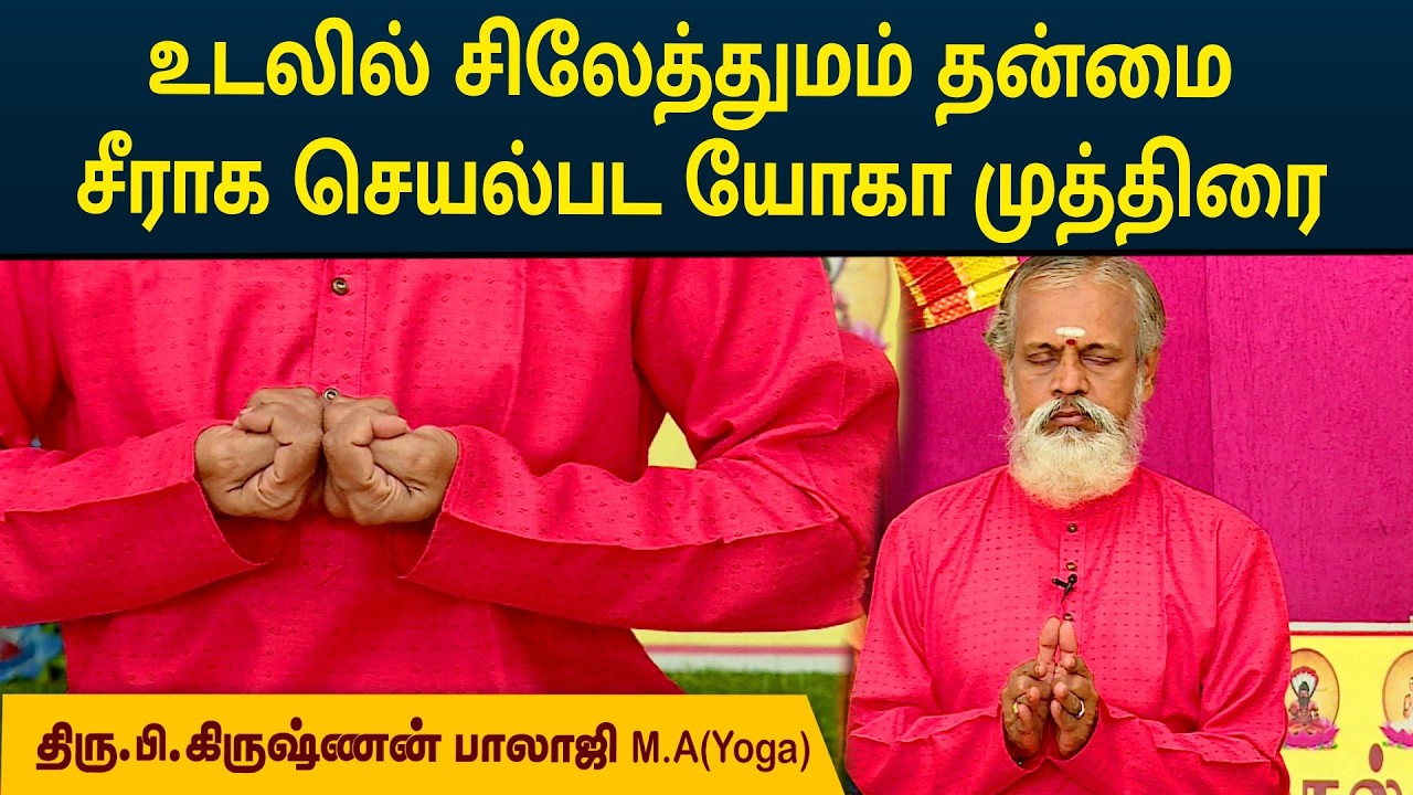 உடலில் சிலேத்துமம் தன்மை சீராக செயல்பட யோகா முத்திரை | Krishnan Balaji | MEGA TV
