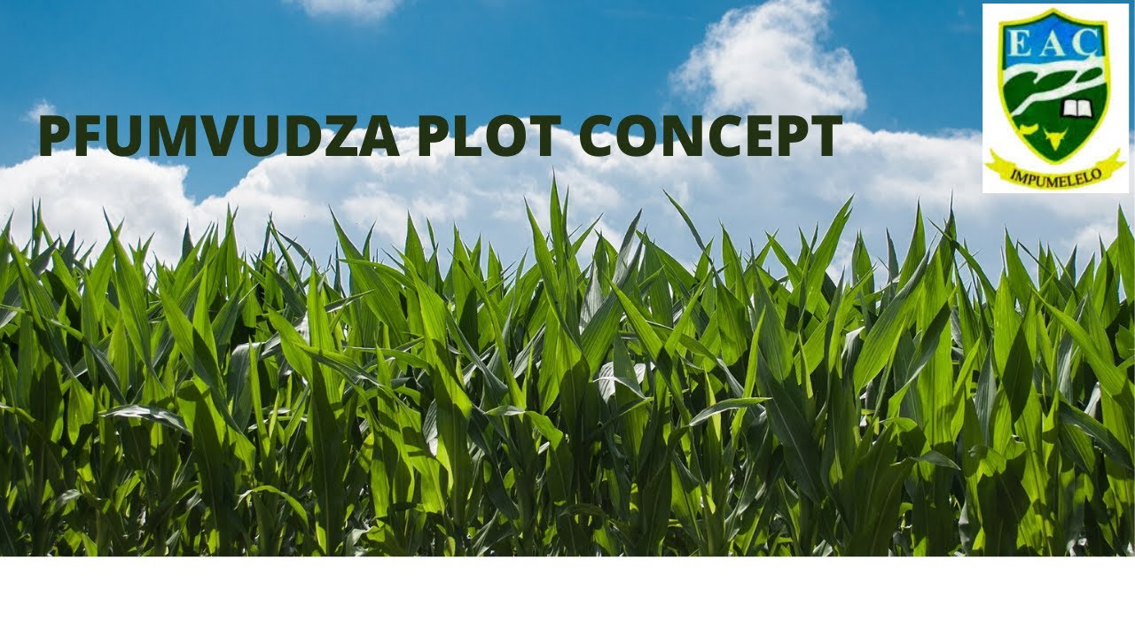 Pfumvudza Plot Concept - Foundations for Farming