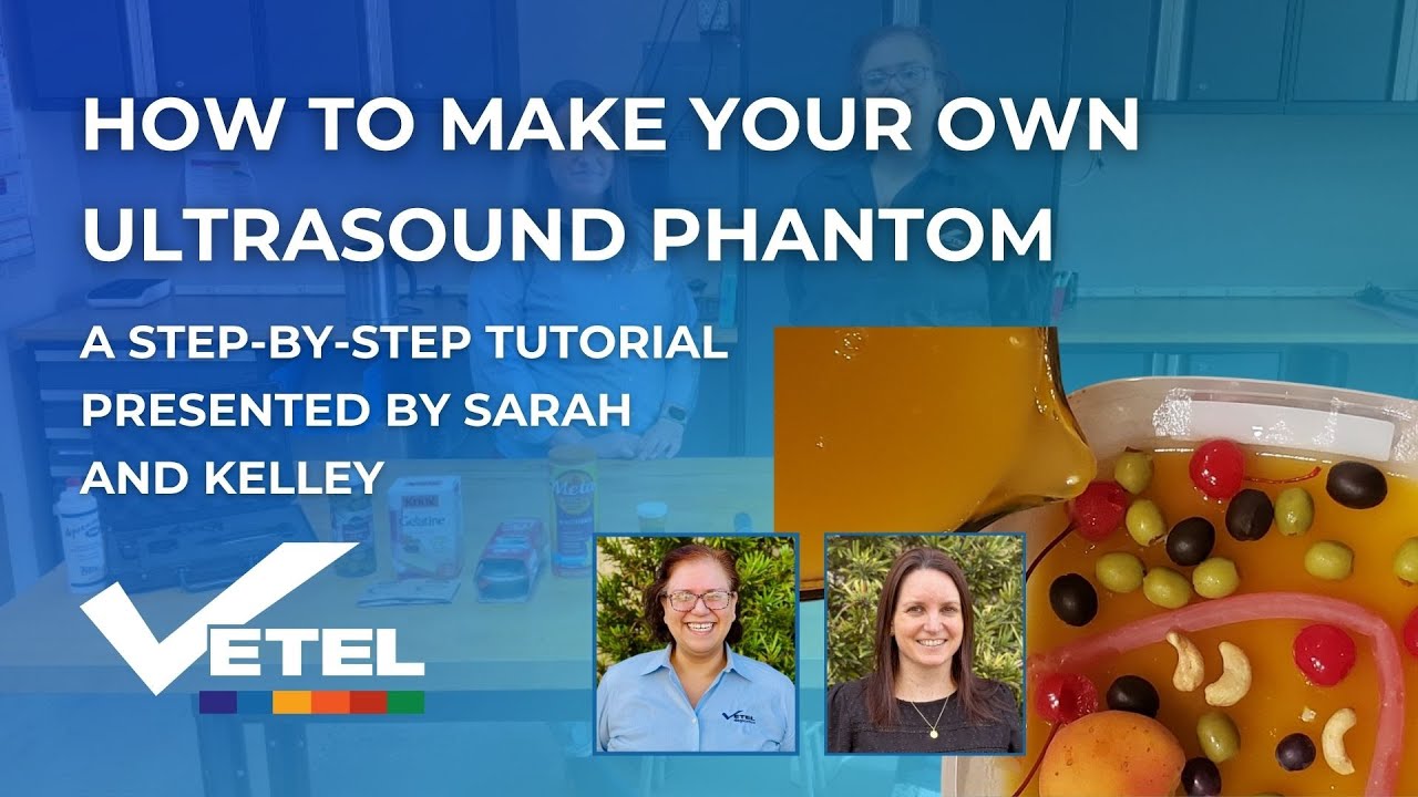 Make A DIY Ultrasound Phantom At Home
