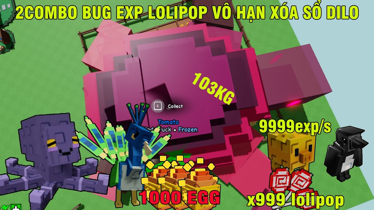 2 COMBO BUG 9999 EXP/S VÔ HẠN LOLIPOP XÓA SỔ DILO VÀ MỞ 1000 PRADISE EGG VỚI SIÊU PHẨM 103KG | GAG
