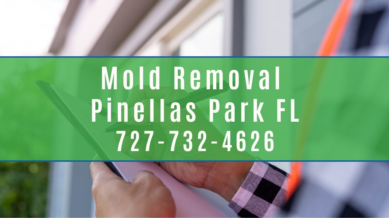 Mold Removal Pinellas Park Mold Remediation 727-732-4626-Pinellas Park & Surrounding Areas