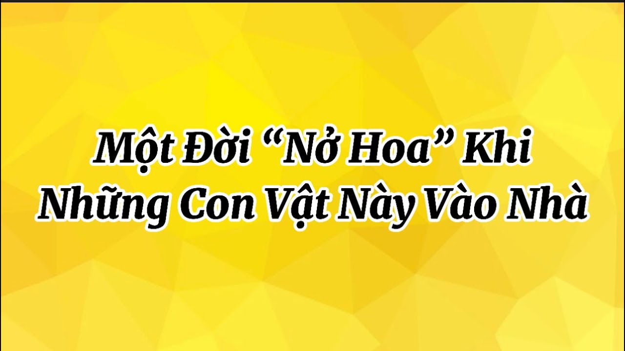 Một đời “nở hoa” khi những con vật này xuất hiện trong nhà bạn
