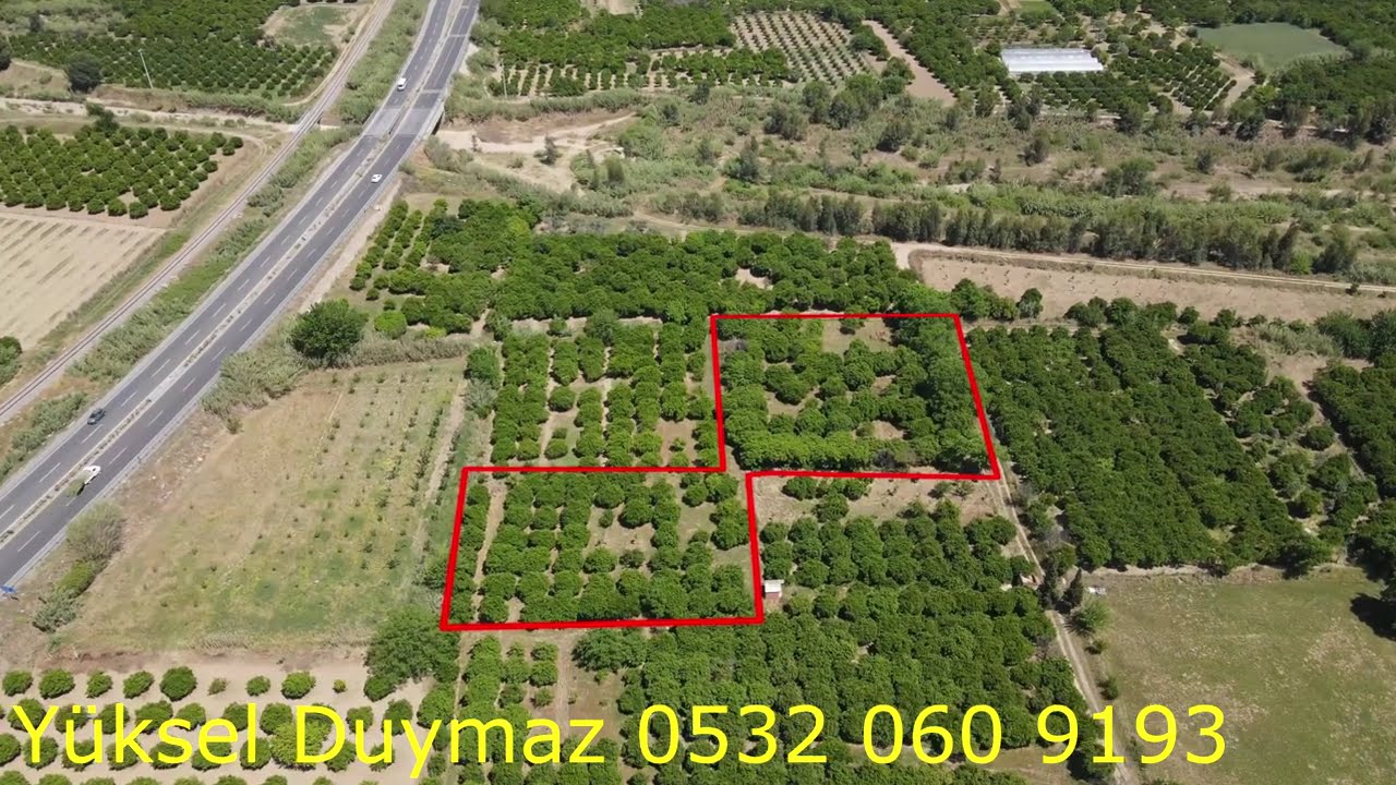 SATILIK PORTAKAL BAHÇESİ Egenin incisi Nazilli'de müthiş bir köy havası ve doğa ile bu fırsat kaçmaz