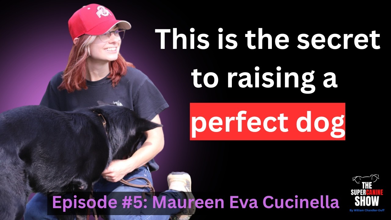 Maureen Eva Cucinella | The Super Canine Show | Episode 5