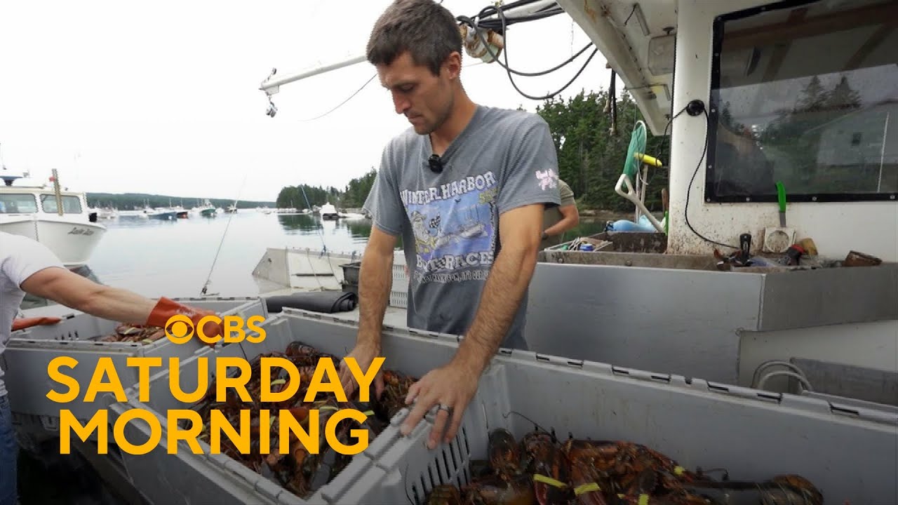 Viral lobsterman documents Maine's lobster season